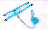 Dog Leashes And Collars Set Puppy Leads | For Small Dogs & Cats | Adjustable Dog Harness Pet Accessories | Cute Angel Pet