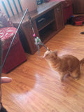 Pet Cat Toy | Bird Feather Teaser Wand Plastic Toy | Colorful Multi Products For Pet