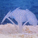 Sucker Coral  Fish Aquarium | Artificial Coral Silicone Plant With Sucker Ornament | Fish Aquarium Water Tank  Landscape Decor | Aquarium Accessories