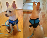 Puppy Vest For Chihuahua | Breathable Mesh For Small Dog  | Harness and Leash Set