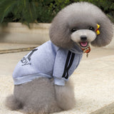 Puppy Coat Hoodies | Cute Clothing For Small Dog | Sportswear | Cat & Pet Dog Clothes Vest Spring Pet Apparel Outfit