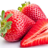 Red Climbing Strawberry Seeds | Garden Fruit Plant | Sweet And Delicious Outdoor Plant  100pcs