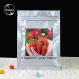 Red Climbing Strawberry Seeds | Garden Fruit Plant | Sweet And Delicious Outdoor Plant  100pcs