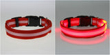 Glow LED Dog & Cat Flashing Light Up Collar | Nylon Collar Night Safety for Dogs and Cats | 8 Color S M L Size