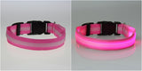 Glow LED Dog & Cat Flashing Light Up Collar | Nylon Collar Night Safety for Dogs and Cats | 8 Color S M L Size