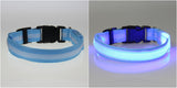 Glow LED Dog & Cat Flashing Light Up Collar | Nylon Collar Night Safety for Dogs and Cats | 8 Color S M L Size