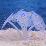 Sucker Coral  Fish Aquarium | Artificial Coral Silicone Plant With Sucker Ornament | Fish Aquarium Water Tank  Landscape Decor | Aquarium Accessories