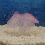 Sucker Coral  Fish Aquarium | Artificial Coral Silicone Plant With Sucker Ornament | Fish Aquarium Water Tank  Landscape Decor | Aquarium Accessories