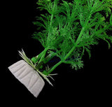 Underwater Artificial Plant Grass For Fish Aquarium | Fish Tank Landscape Decor |  30cm