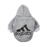 Puppy Coat Hoodies | Cute Clothing For Small Dog | Sportswear | Cat & Pet Dog Clothes Vest Spring Pet Apparel Outfit