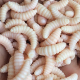 Maggot Grub Soft Lure Baits | Smell Worms Glow Shrimps | Fishing Lures 50PCS 2cm 0.3g Maggot Grub