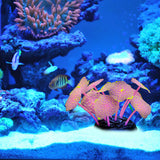 Sucker Coral  Fish Aquarium | Artificial Coral Silicone Plant With Sucker Ornament | Fish Aquarium Water Tank  Landscape Decor | Aquarium Accessories
