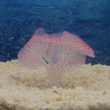 Sucker Coral  Fish Aquarium | Artificial Coral Silicone Plant With Sucker Ornament | Fish Aquarium Water Tank  Landscape Decor | Aquarium Accessories