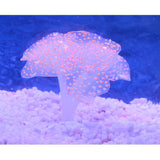 Sucker Coral  Fish Aquarium | Artificial Coral Silicone Plant With Sucker Ornament | Fish Aquarium Water Tank  Landscape Decor | Aquarium Accessories