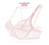 Super Thin AB Cup Women Bra | Sexy Floral Lace Embroidery Brassiere Transparent Breathable Bra