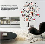 DIY Removable Photo Tree Pvc Wall Decals | Adhesive Wall Stickers Mural Art Home Decor | 100*120Cm/40*48in 3D