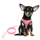 Puppy Vest For Chihuahua | Breathable Mesh For Small Dog  | Harness and Leash Set