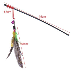 Pet Cat Toy | Bird Feather Teaser Wand Plastic Toy | Colorful Multi Products For Pet