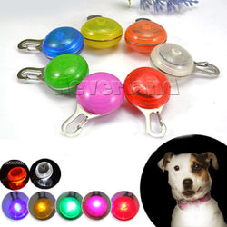 LED Night Safety Flash Light Pet Bell | Push Button Switch Bright  D-Ring On Dog's Collar