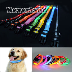 Glow LED Dog & Cat Flashing Light Up Collar | Nylon Collar Night Safety for Dogs and Cats | 8 Color S M L Size