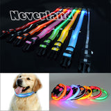 Glow LED Dog & Cat Flashing Light Up Collar | Nylon Collar Night Safety for Dogs and Cats | 8 Color S M L Size